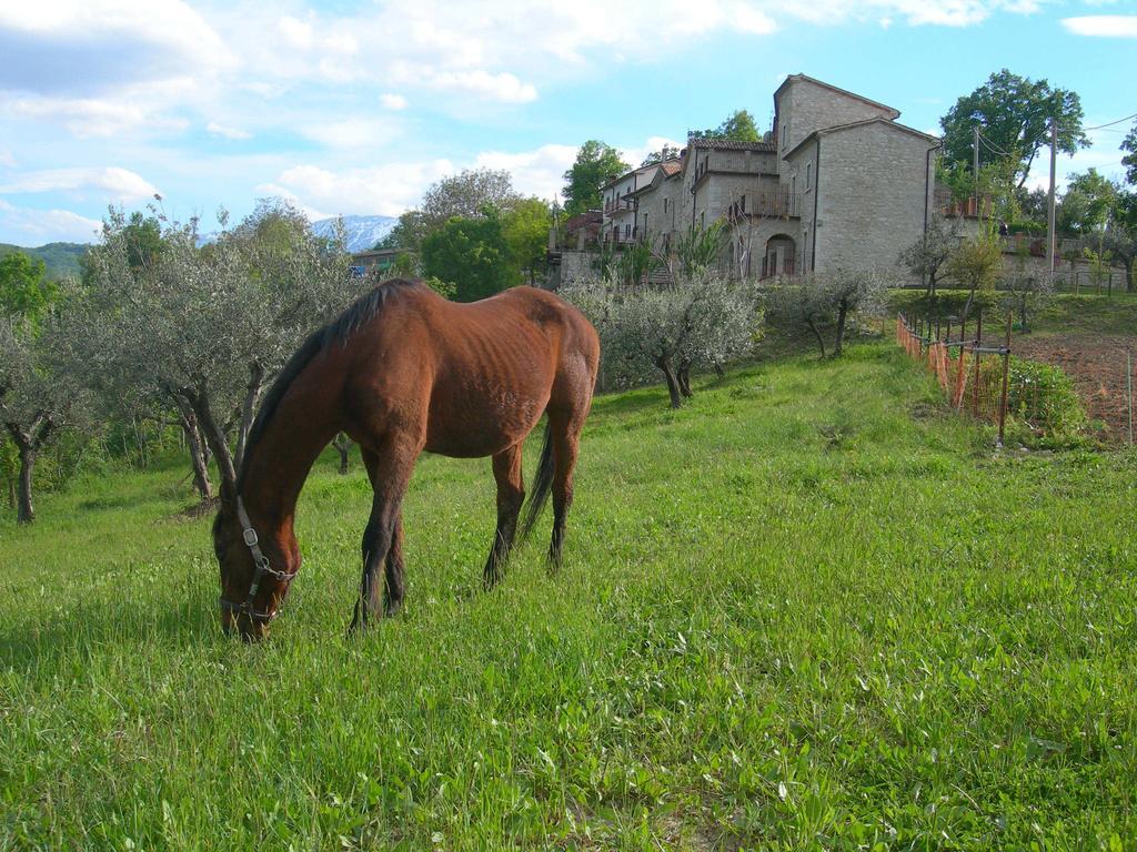 Agriturismo Borgo San Martino Vila Abbateggio Exterior foto